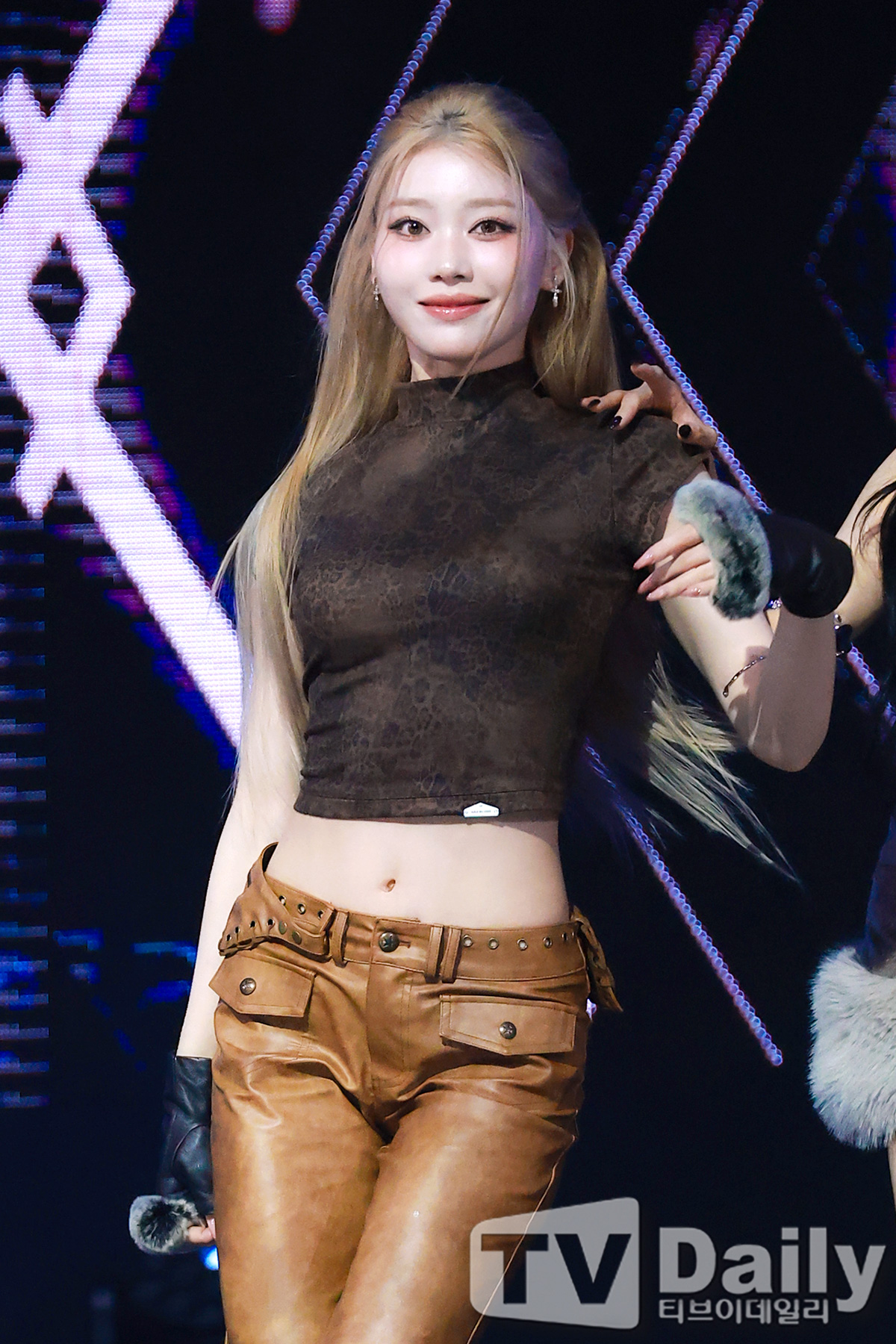 ƼºêÀ̵¥Àϸ® Æ÷Åä