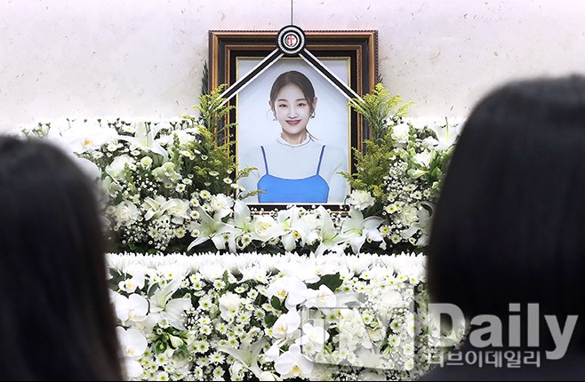 ƼºêÀ̵¥Àϸ® Æ÷Åä