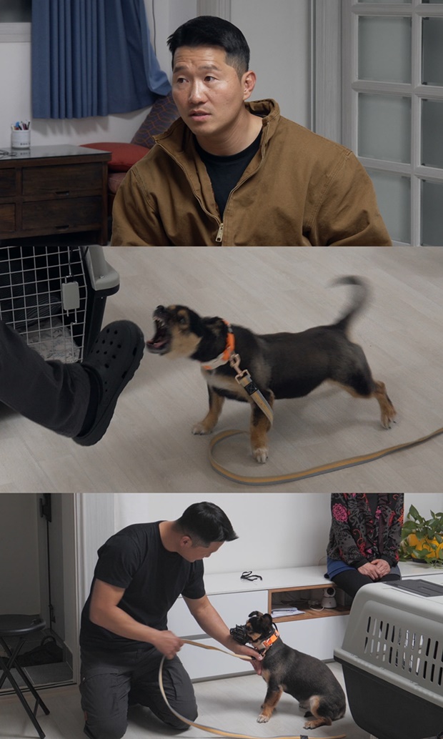 Ƽ���̵��ϸ� ����