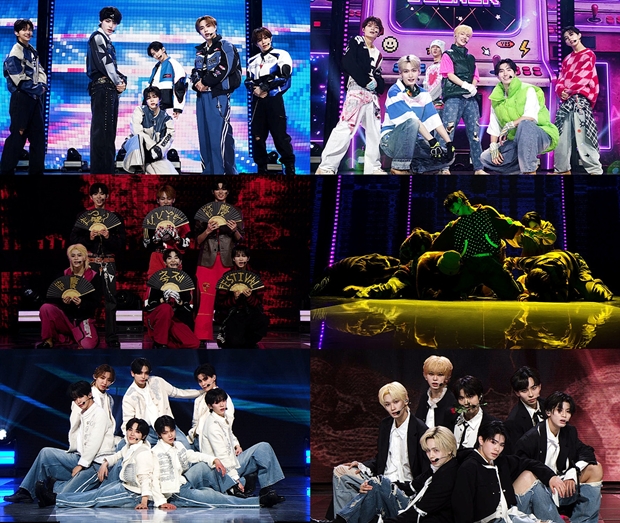 ƼºêÀ̵¥Àϸ® Æ÷Åä