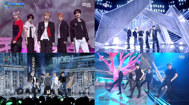 ����ο�������Դ�