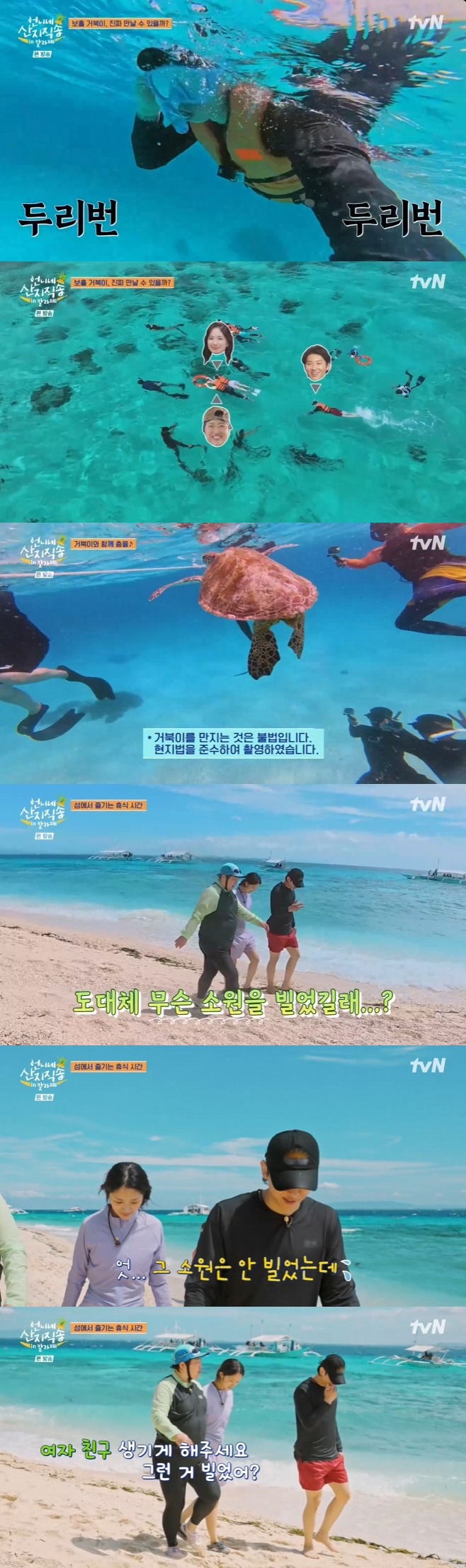 Ƽ���̵��ϸ� ����