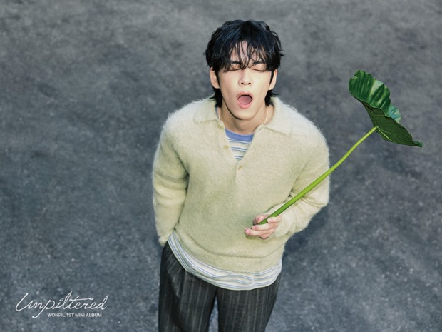 ���̽Ľ� ����