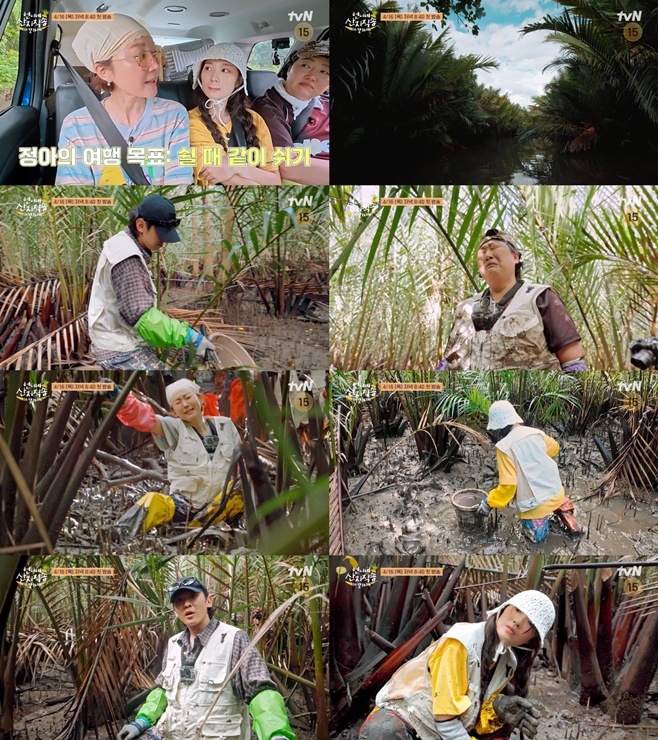 ��ϳ� ��������