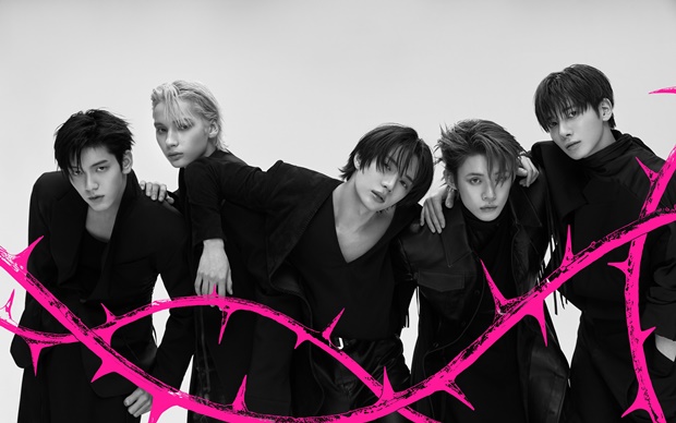 ����ο�������Դ�