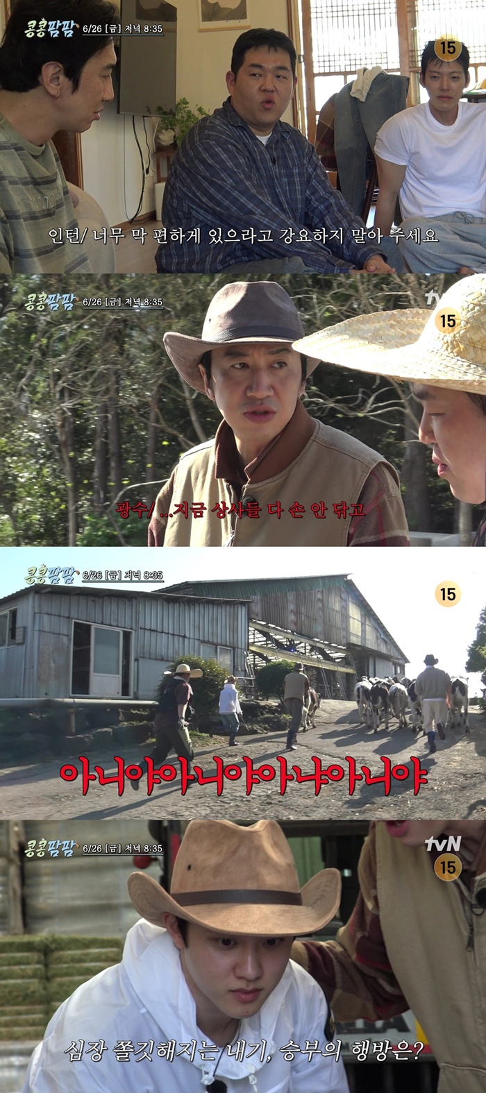 tvN ��������