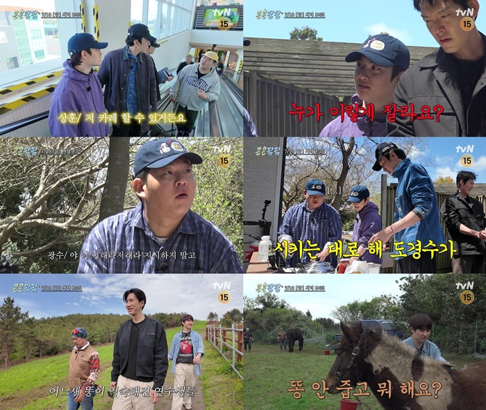tvN ��������