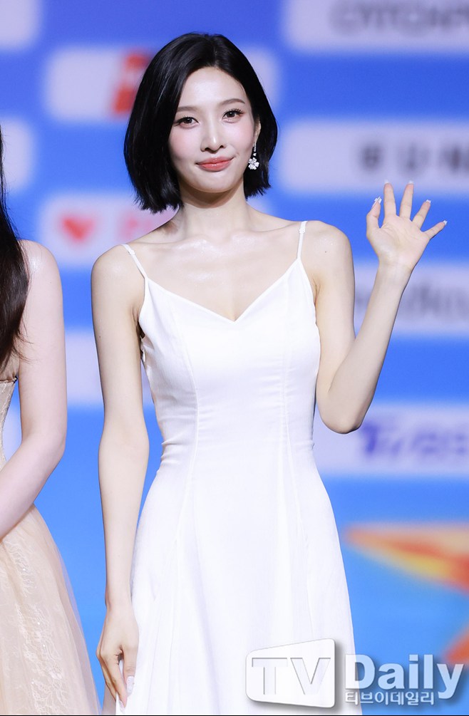 티브이데일리 포토