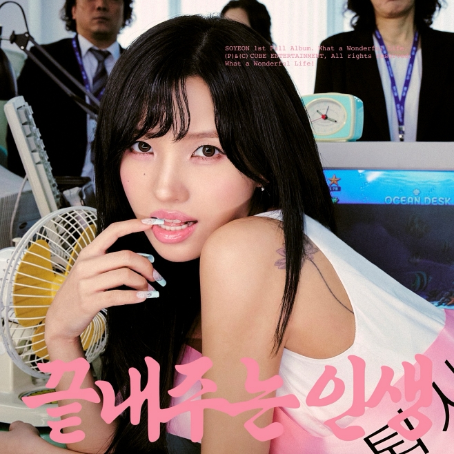 티브이데일리 포토