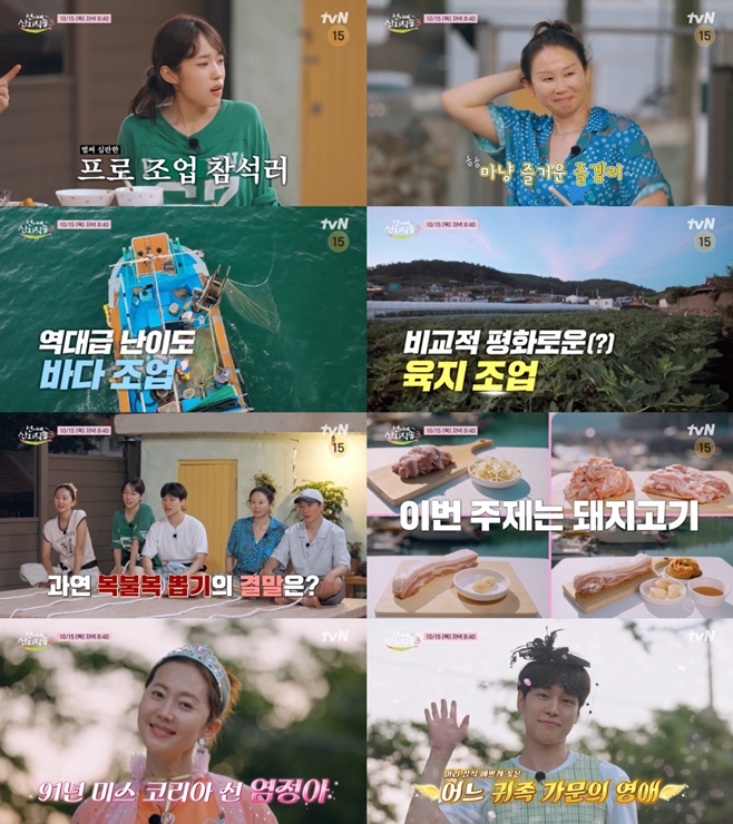 티브이데일리 포토