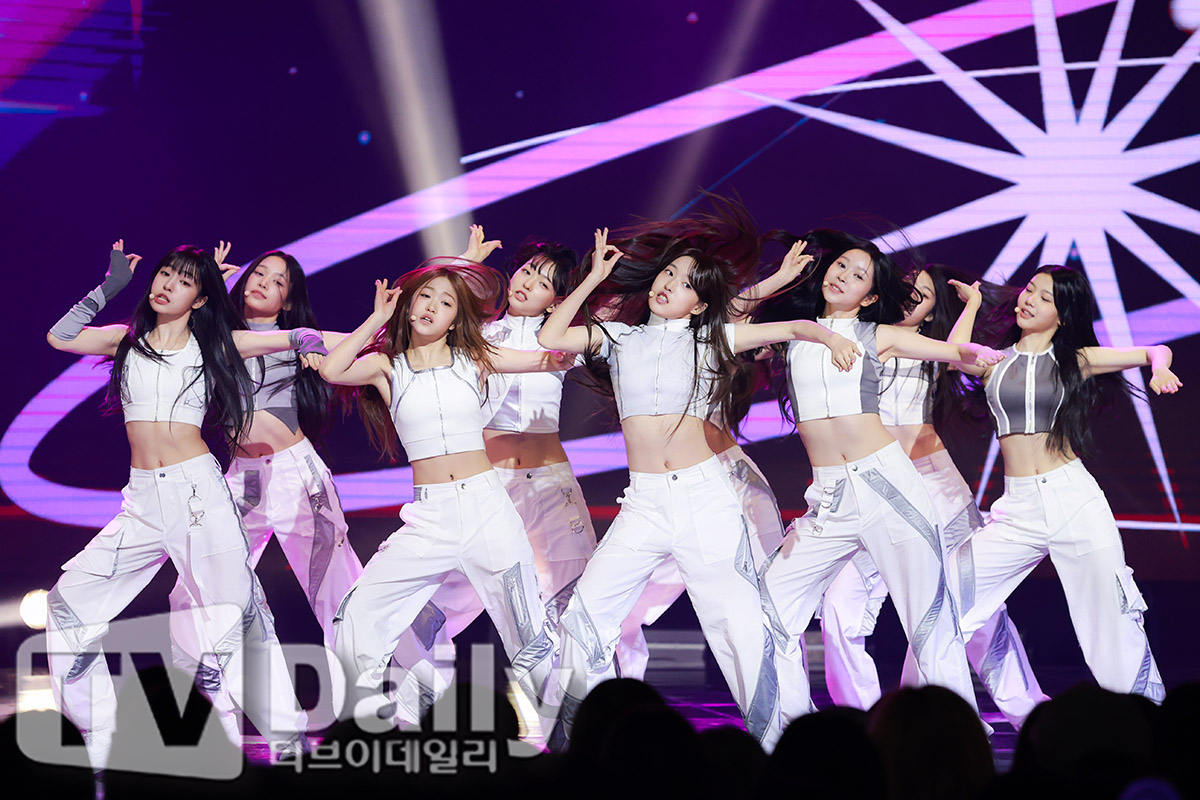티브이데일리 포토