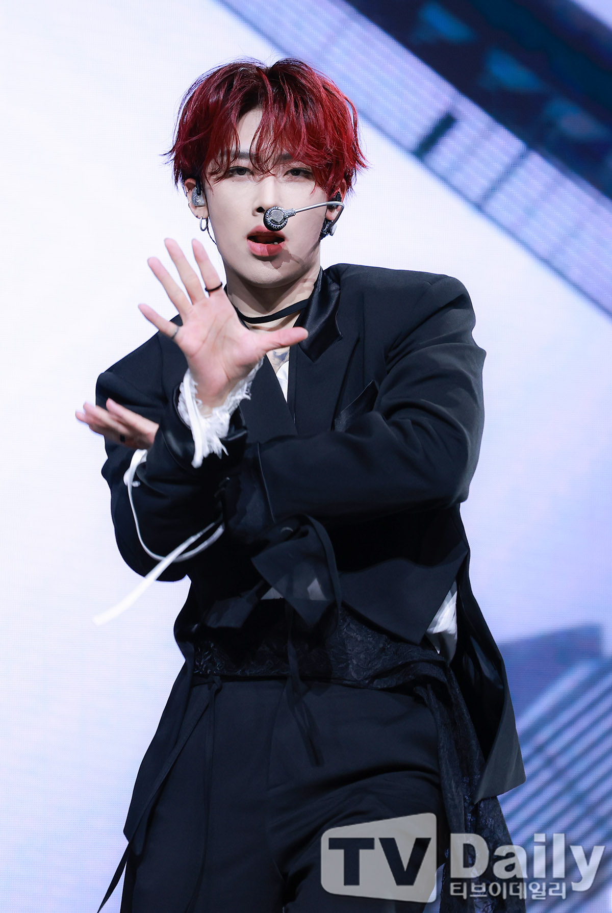 티브이데일리 포토