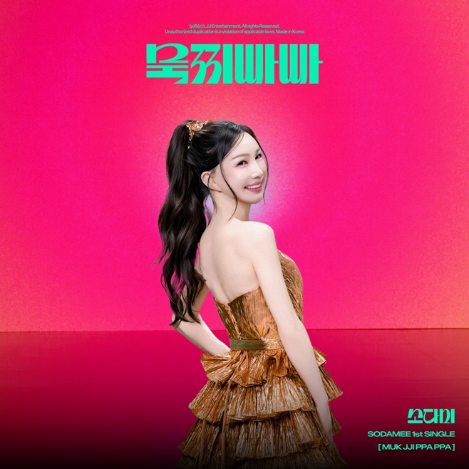 티브이데일리 포토